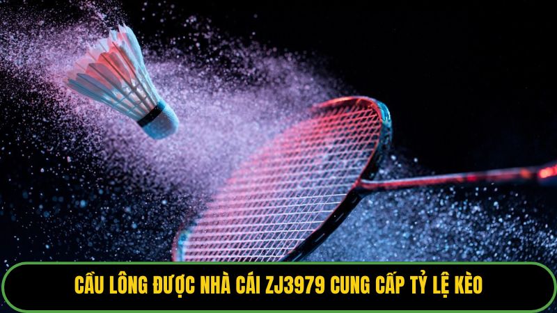 Cầu lông được nhà cái zj3979 cung cấp tỷ lệ kèo