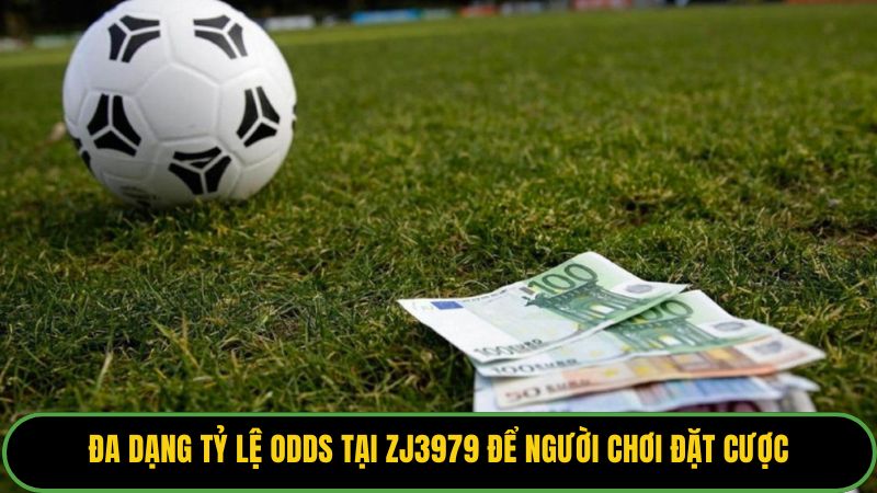 Đa dạng tỷ lệ odds tại ZJ3979 để người chơi đặt cược