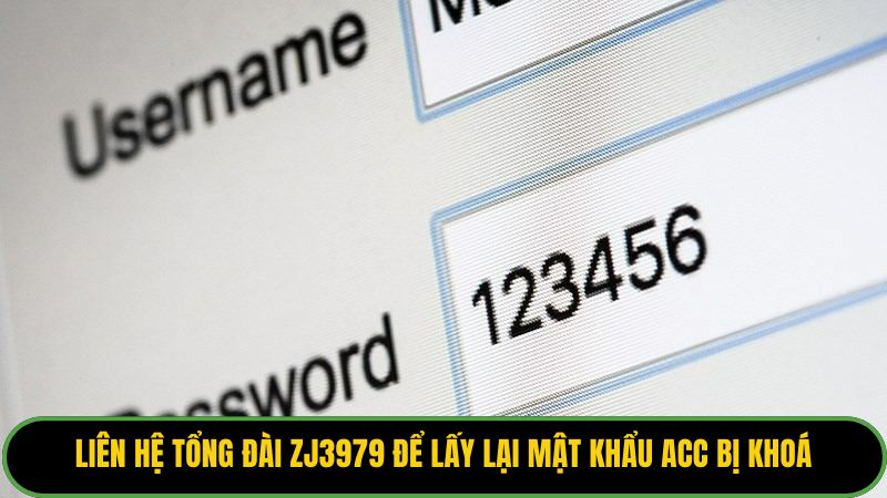 Liên hệ tổng đài ZJ3979 để lấy lại mật khẩu acc bị khoá