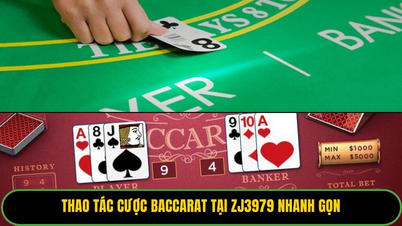 Thao tác cược baccarat tại ZJ3979 nhanh gọn