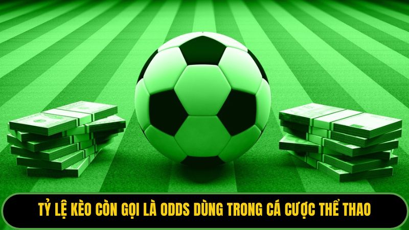 Tỷ lệ kèo còn gọi là odds dùng trong cá cược thể thao